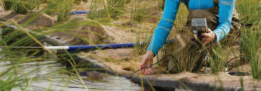 Self-assessment toolkit | Bay of Plenty Regional Council ...