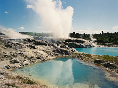 Whakarewarewa Geyser