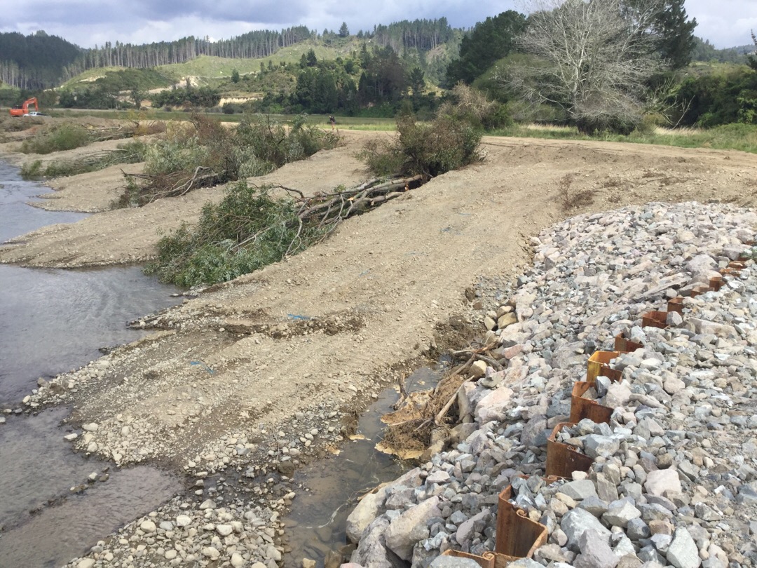 trench willow Ruatoki