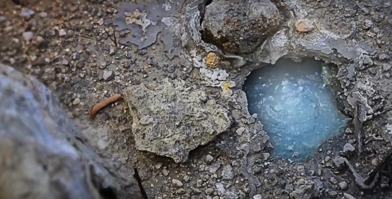 Bay of Plenty geothermal systems