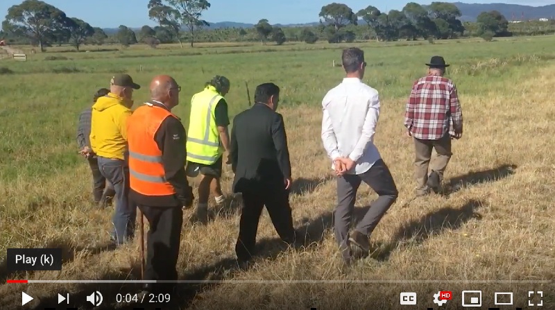 Te Pourepo o Kaituna wetland project