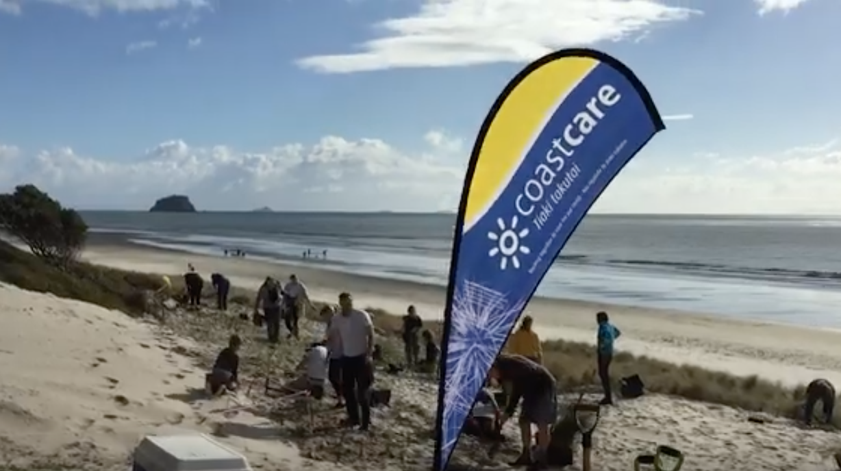 Coast Care Bay of Plenty Regional Council Toi Moana