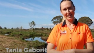 Te Pourepo o Kaituna wetland - Paengaroa School visit video
