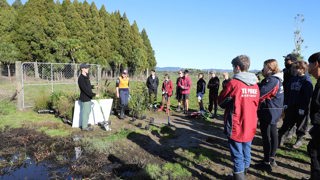 Volunteers from Te Puke High School help restore wetland